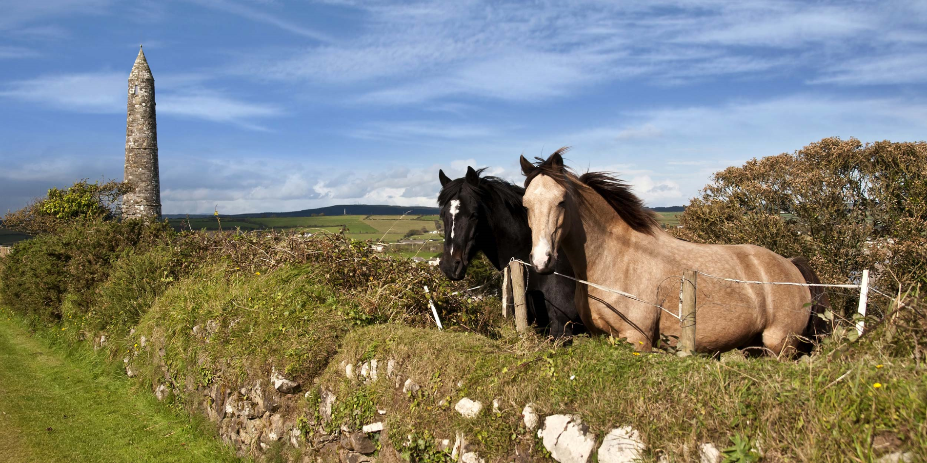 Två irländska hästar framför ett gammalt runt torn på Ardmores vackra landsbygd i Waterford, Irland