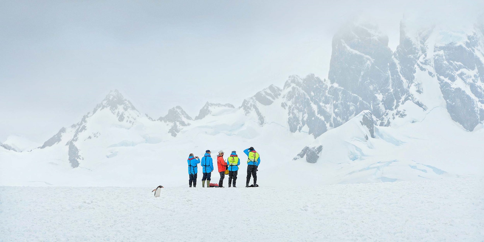En grupp människor åker skidor nedför ett snötäckt berg