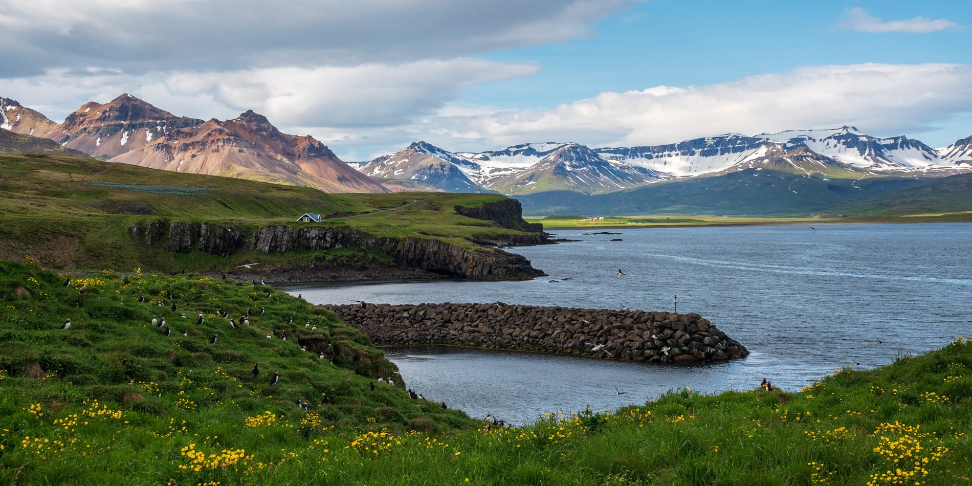Landscape in Bakkagerði Iceland
