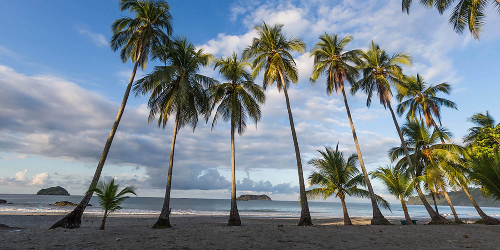 En sandstrand med en palmträd framför en vattenförekomst