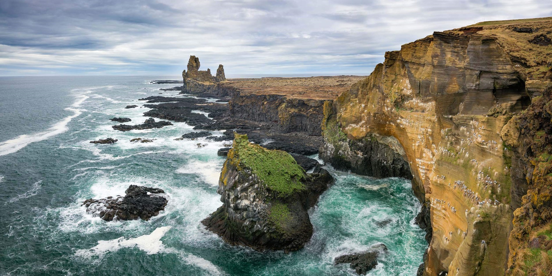 Látrabjarg, Island, Europas största fågel klippa
