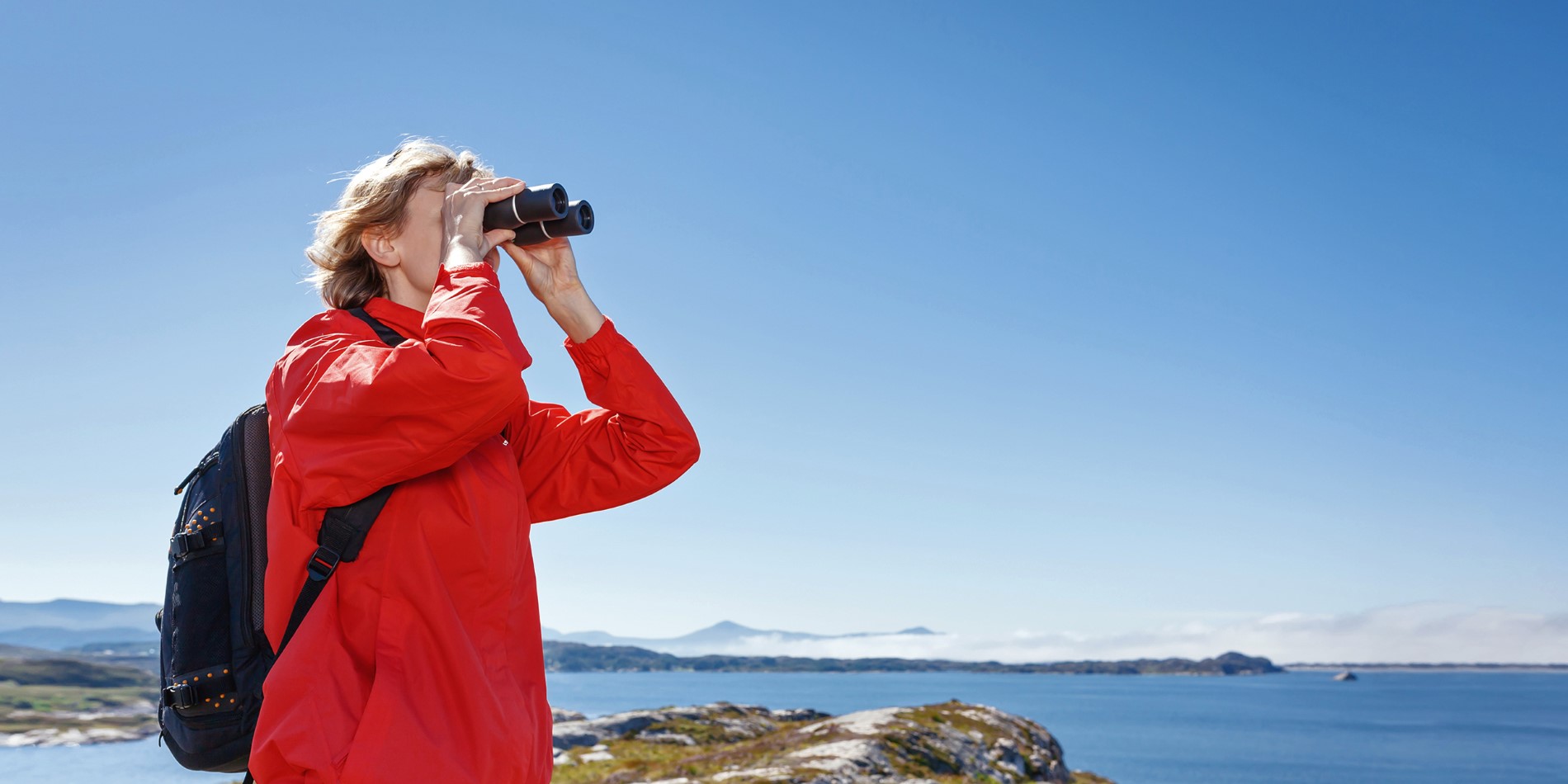 Person looking at birds through binoculars