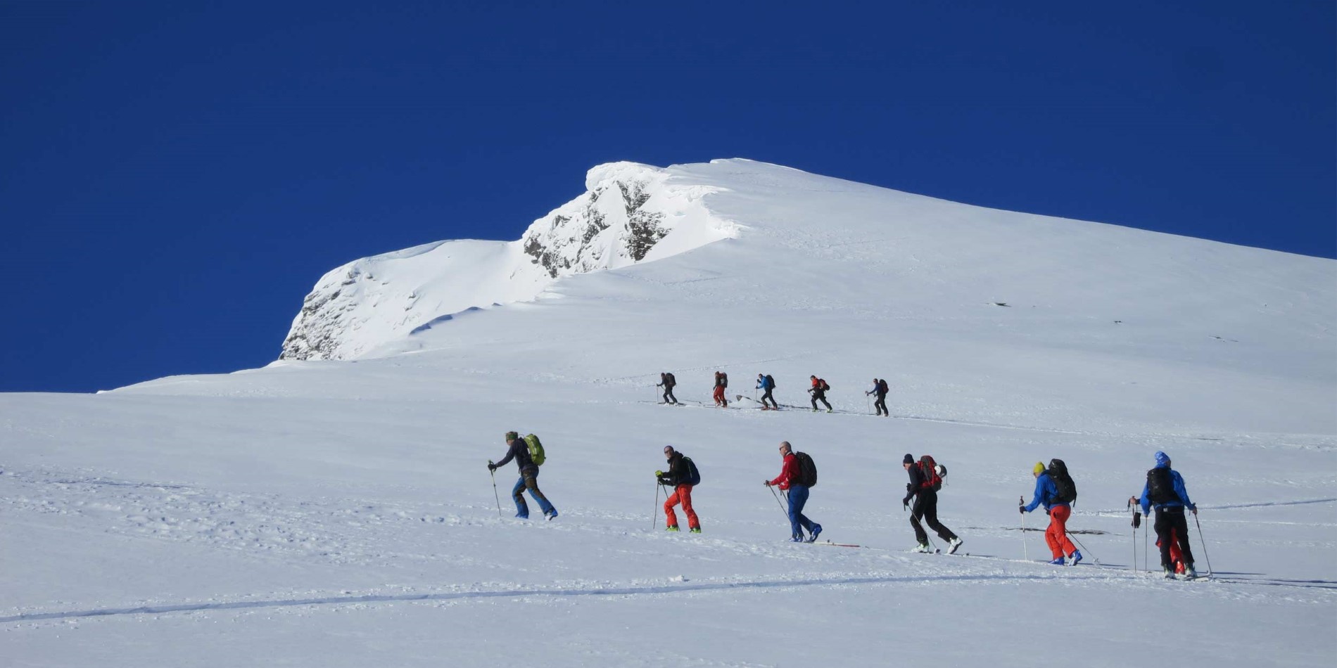 En grupp människor åker skidor nedför en snötäckt sluttning